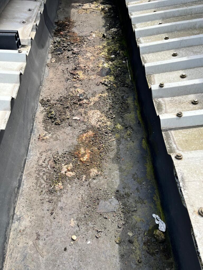 Before and after results showcasing professional commercial exterior cleaning services restoring cladding and building exteriors.