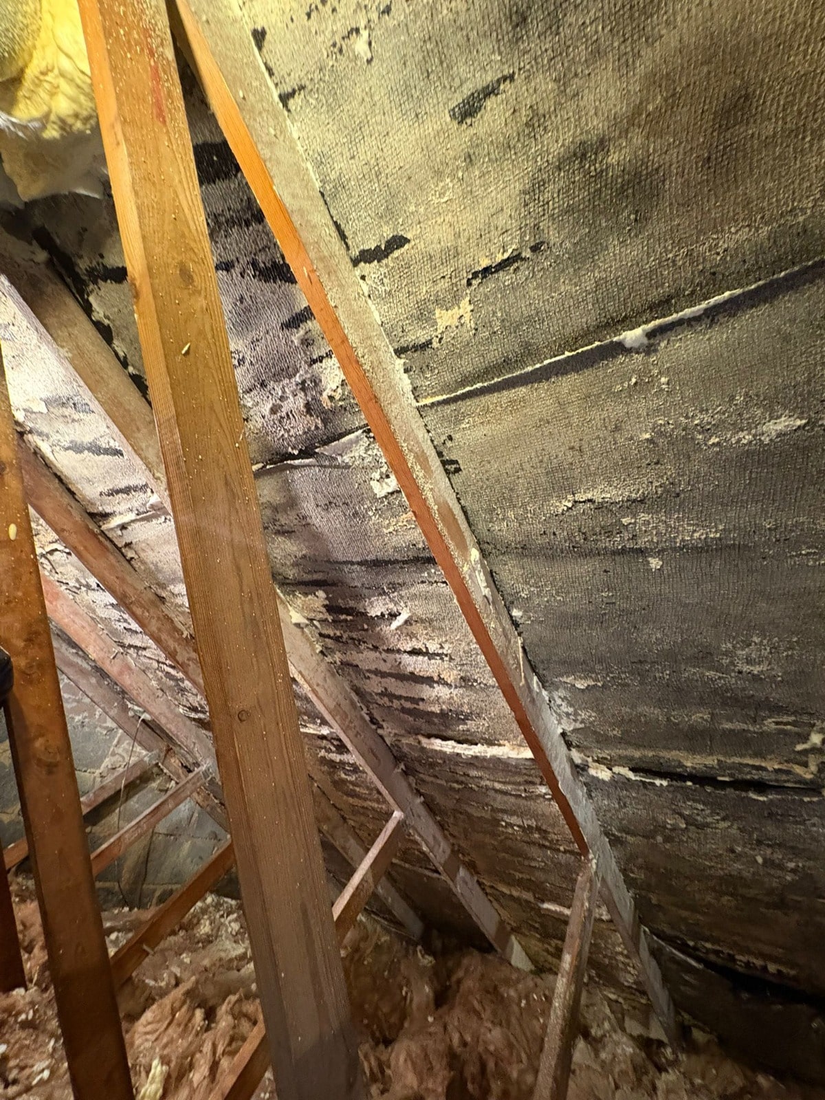 Traditional loft insulation installed between joists in a UK home for improved energy efficiency