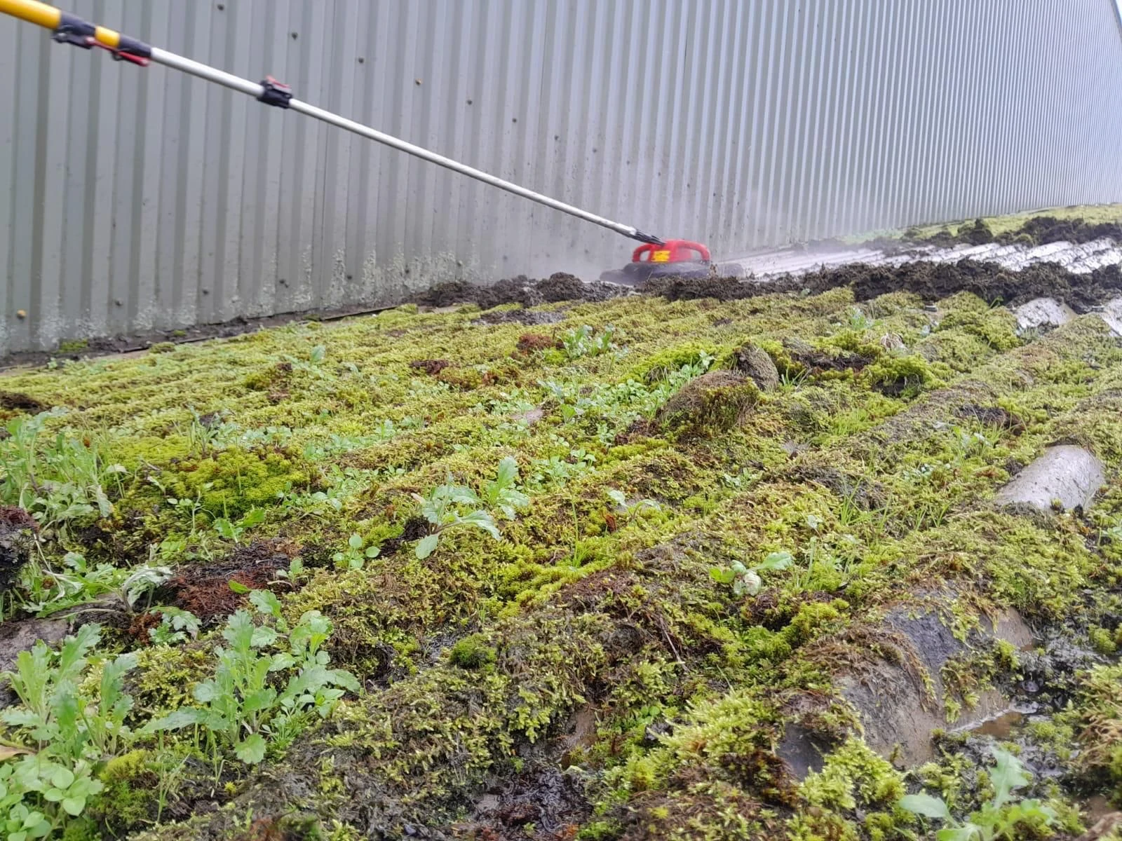 Commercial Roof Cleaning Company Universal Eco Homes