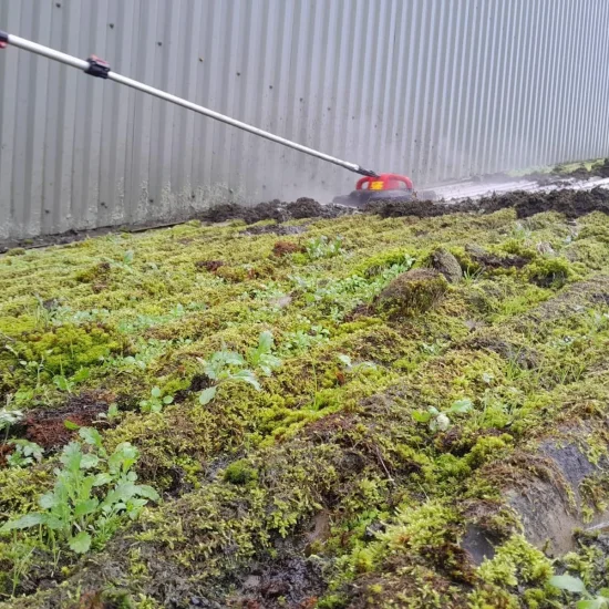 Commercial Roof Cleaning Company Universal Eco Homes