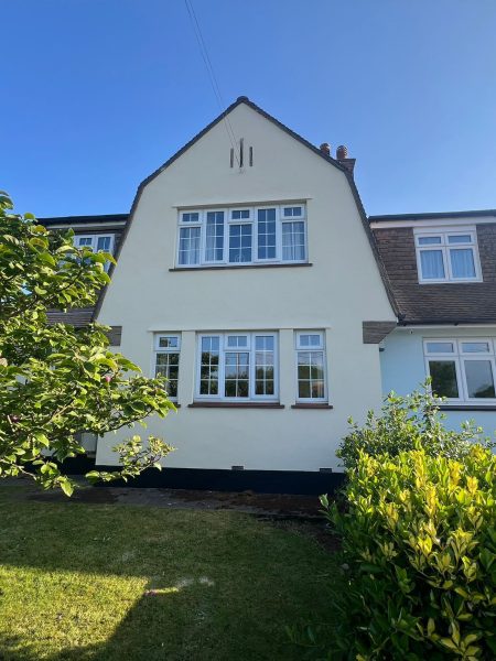 ProPERLA Wall Coating and Cleaning Water Lily by Universal Eco Homes1