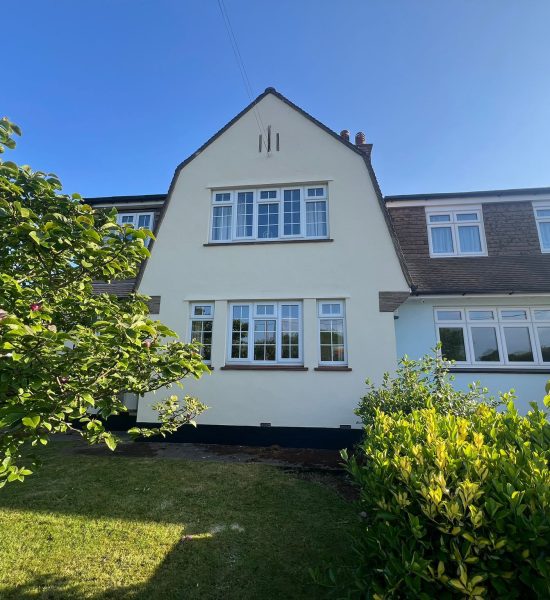 ProPERLA Wall Coating and Cleaning Water Lily by Universal Eco Homes1