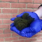 UNiveersal Eco Homes - Moss removal