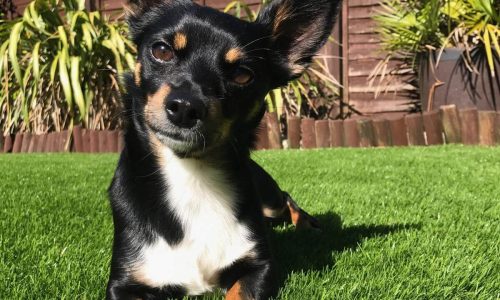 Universal Eco Homes Wall Cleaning